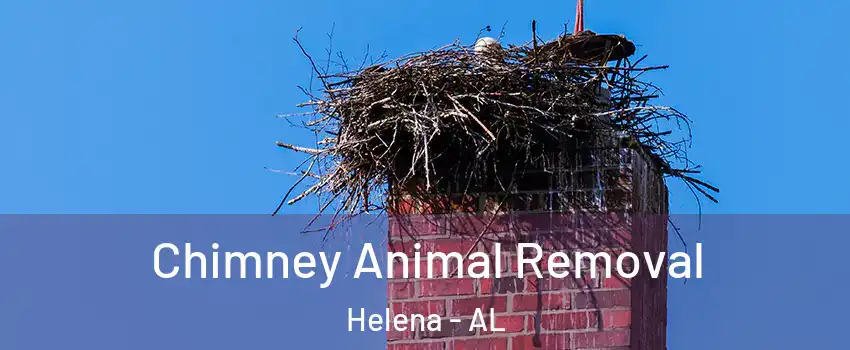  Chimney Animal Removal Helena - AL
