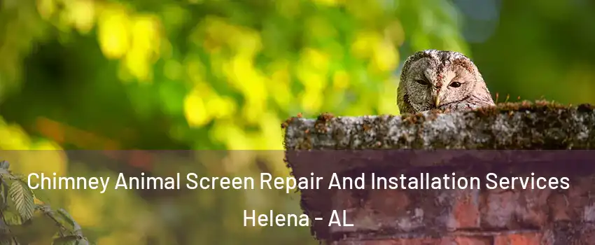  Chimney Animal Screen Repair And Installation Services Helena - AL
