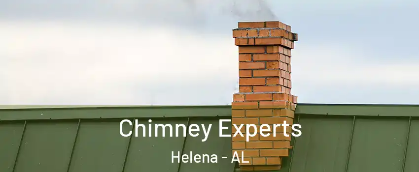  Chimney Experts Helena - AL
