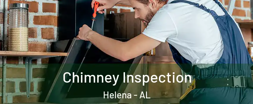  Chimney Inspection Helena - AL