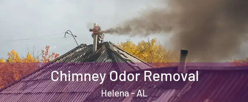  Chimney Odor Removal Helena - AL