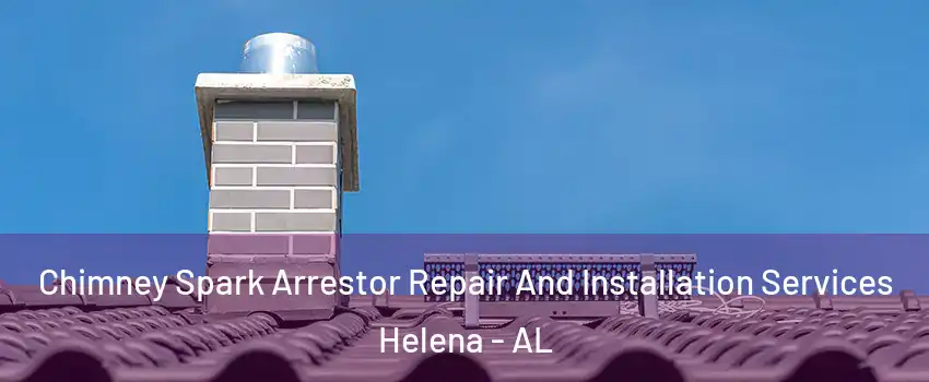  Chimney Spark Arrestor Repair And Installation Services Helena - AL