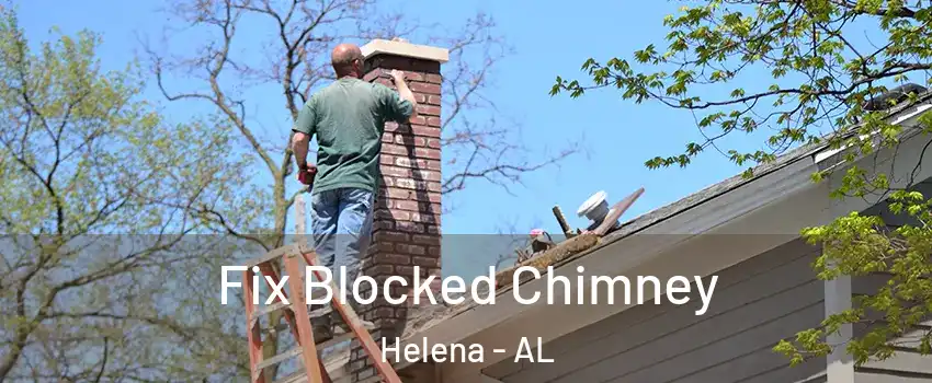  Fix Blocked Chimney Helena - AL