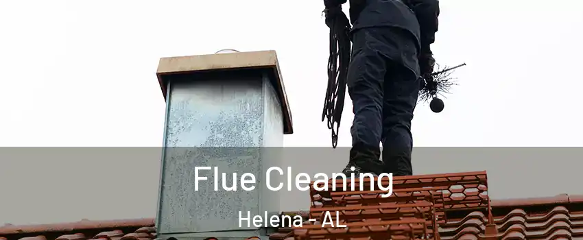  Flue Cleaning Helena - AL