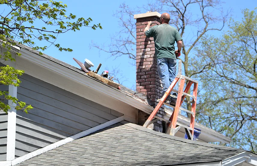 Chimney & Fireplace Inspections Services in Helena, AL