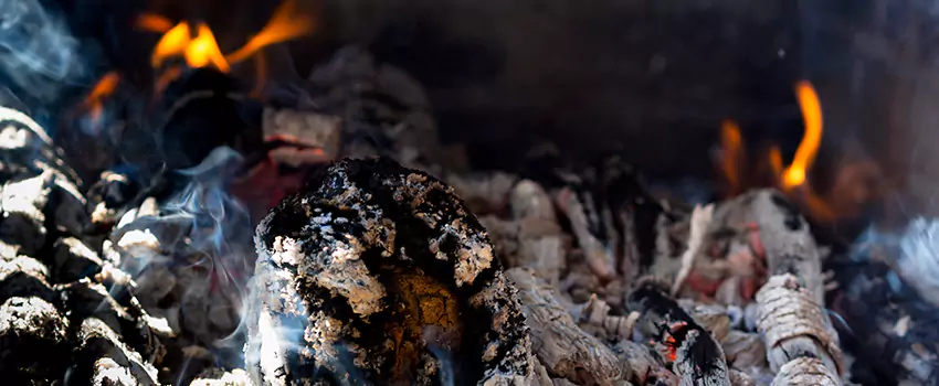 Creosote Removal Experts in Helena, AL